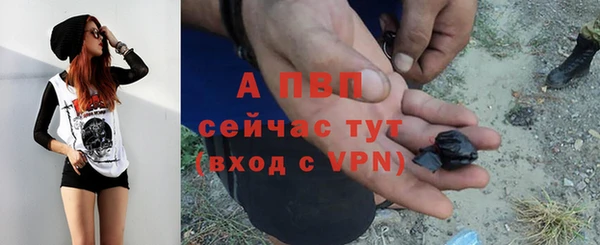 спиды Осинники
