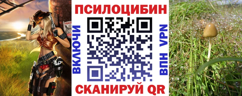 как найти   Каменск-Шахтинский  Галлюциногенные грибы Magic Shrooms 